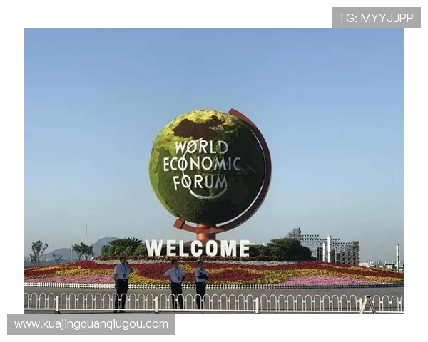 中国企业家领袖风采探索:从创新到全球化的成功之道 中国企业家领袖风采探索:从创新到全球化的成功之道